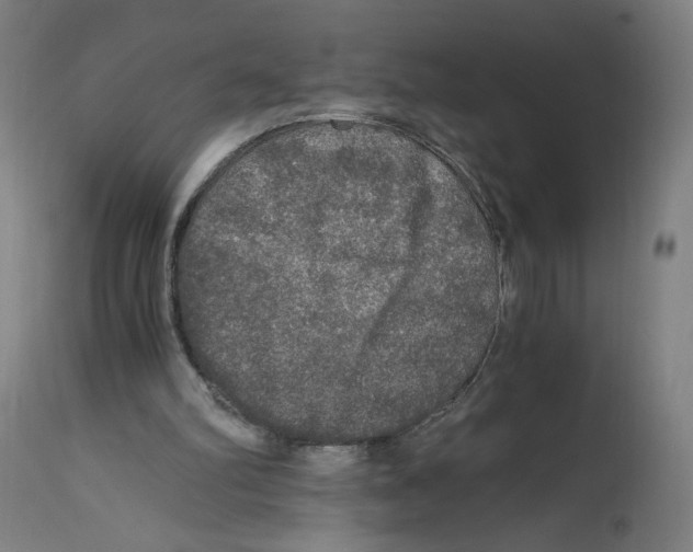 X0000114390102200911131352