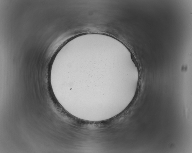 X0000114390103200911131352