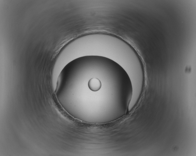 X0000114390105200911131352