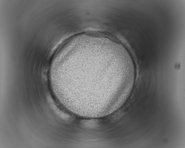 X0000114390106200911131352