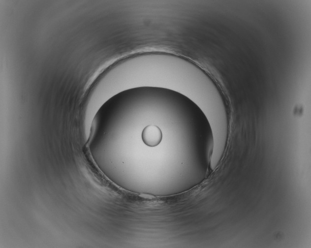 X0000114390108200911131352