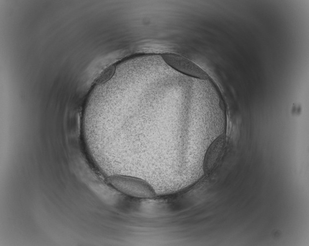 X0000114390109200911131352