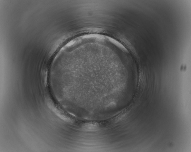 X0000114390110200911131352