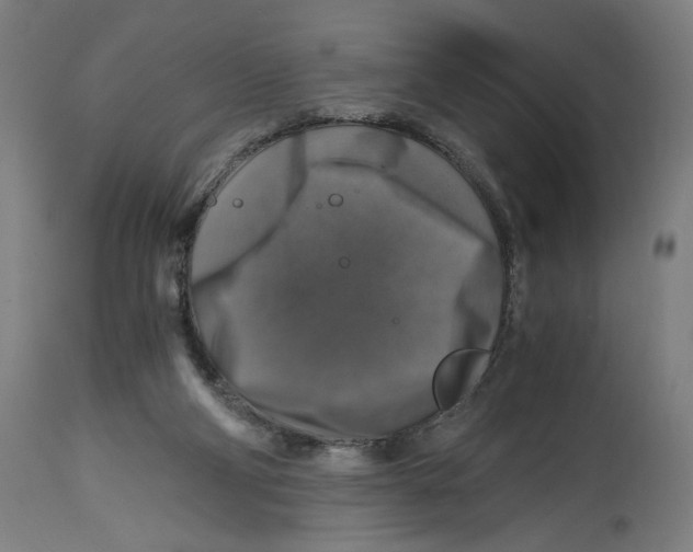 X0000114390114200911131352