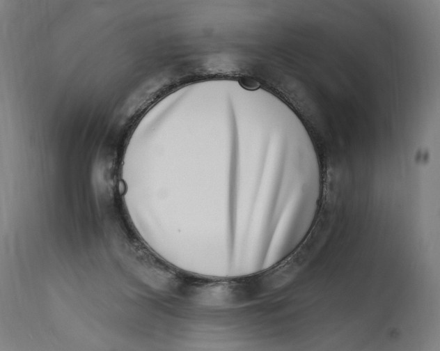 X0000114390116200911131352