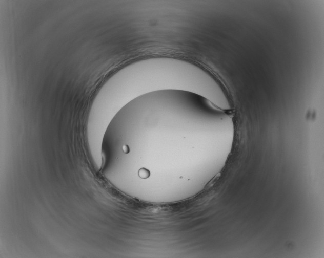 X0000114390117200911131352