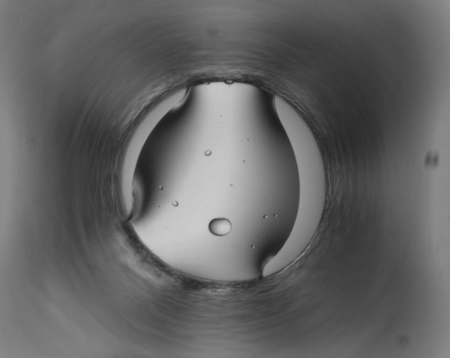 X0000114390120200911131352