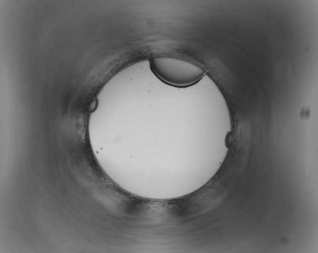 X0000114390121200911131352