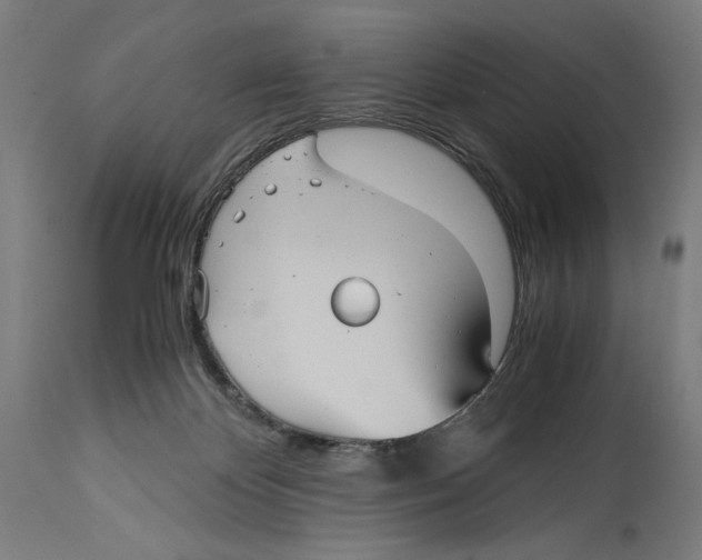 X0000114390124200911131352