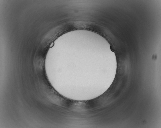 X0000114390125200911131352