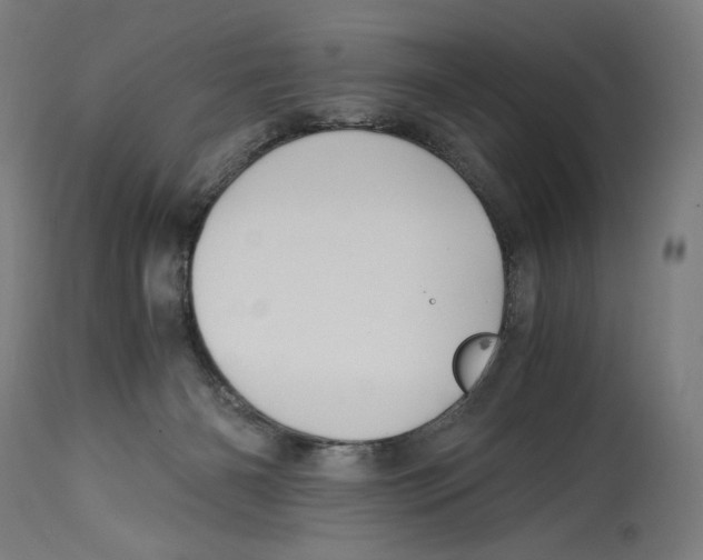 X0000114390126200911131352