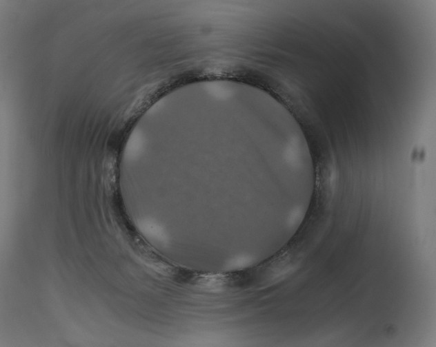 X0000114390127200911131351