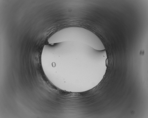 X0000114390128200911131351