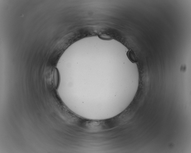 X0000114390129200911131351