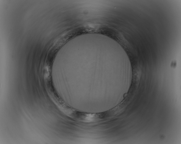 X0000114390130200911131351