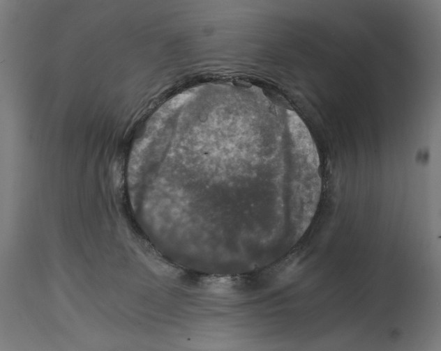 X0000114390131200911131351