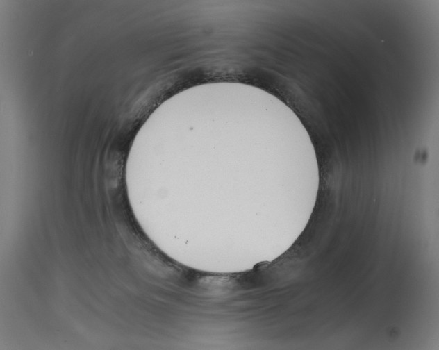 X0000114390133200911131351