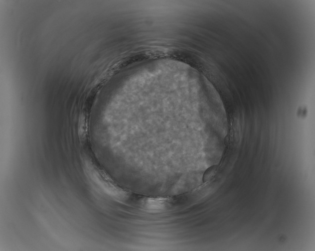 X0000114390134200911131351