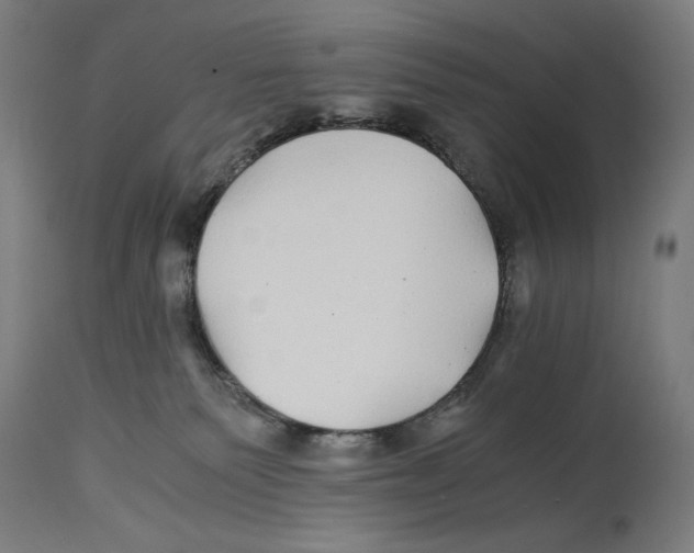 X0000114390135200911131351