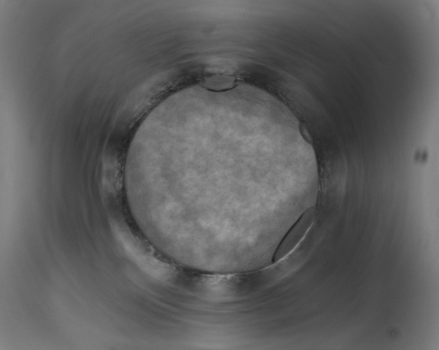 X0000114390136200911131351