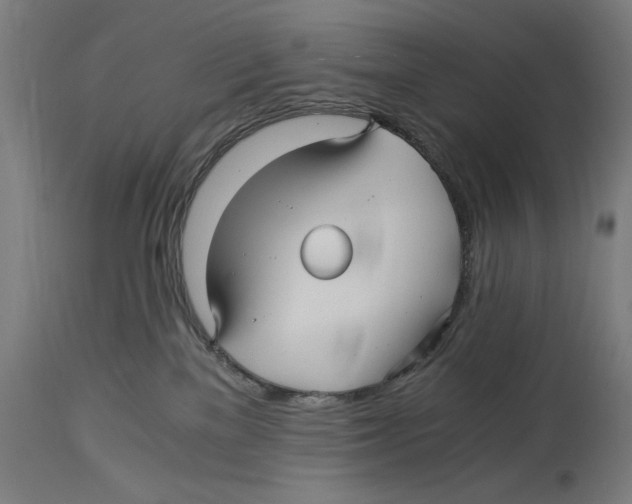 X0000114390137200911131351