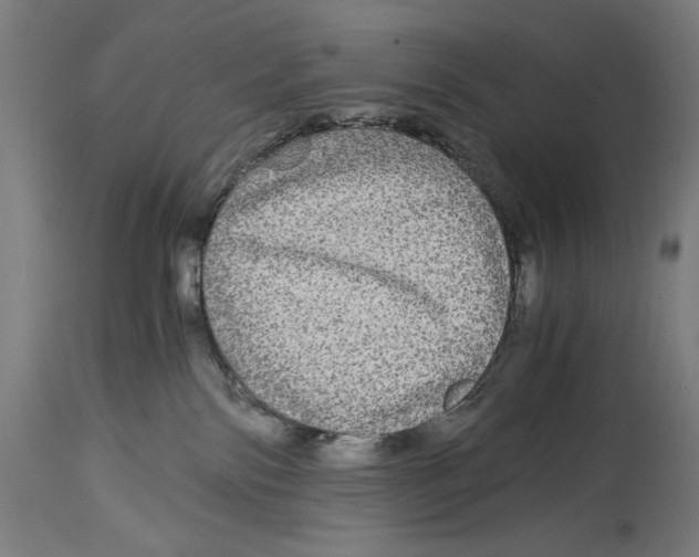 X0000114390138200911131351