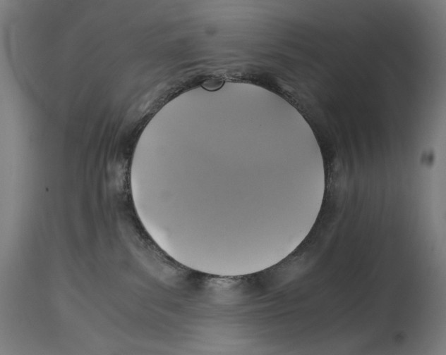 X0000114390139200911131351