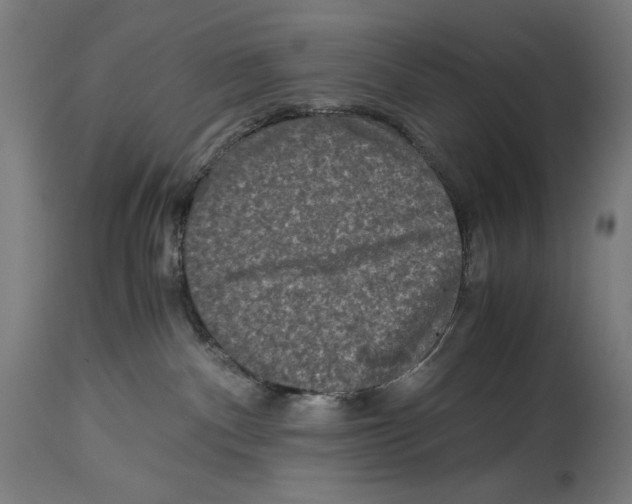 X0000114390140200911131351