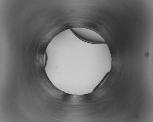 X0000114390141200911131351