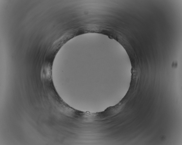 X0000114390143200911131351