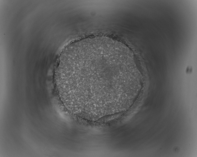 X0000114390144200911131351