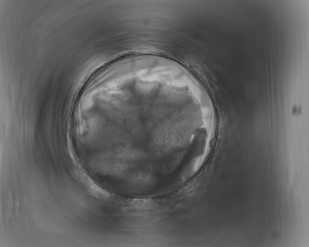 X0000114390145200911131350