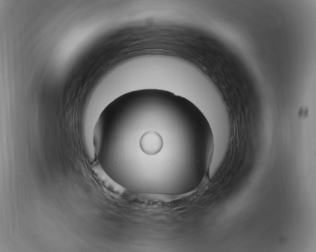 X0000114390146200911131351