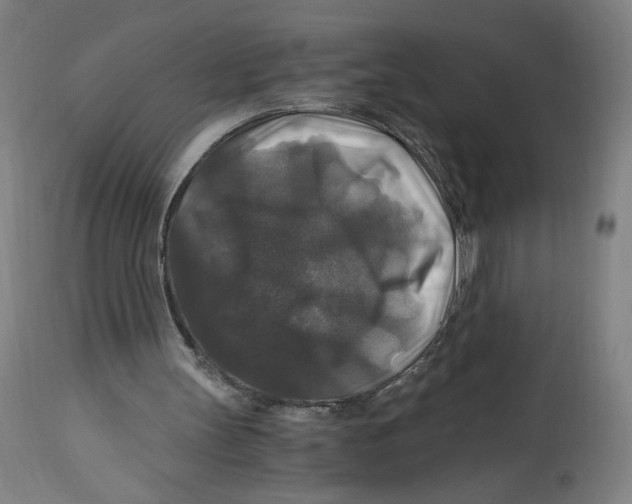 X0000114390147200911131351