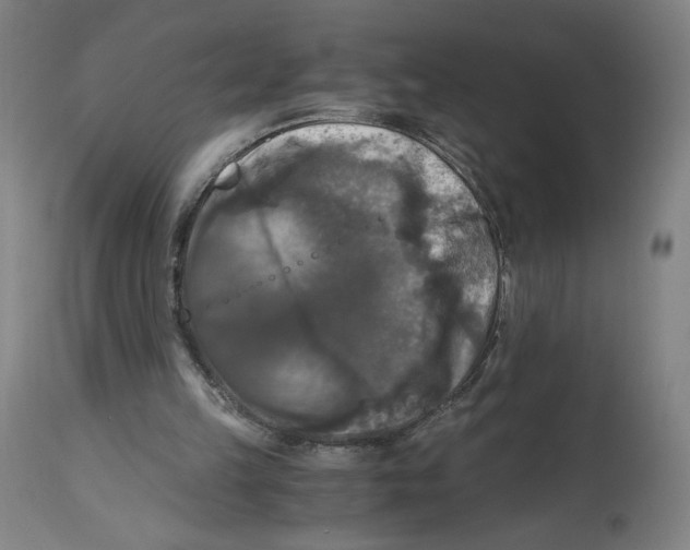 X0000114390149200911131351