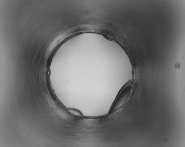 X0000114390150200911131351