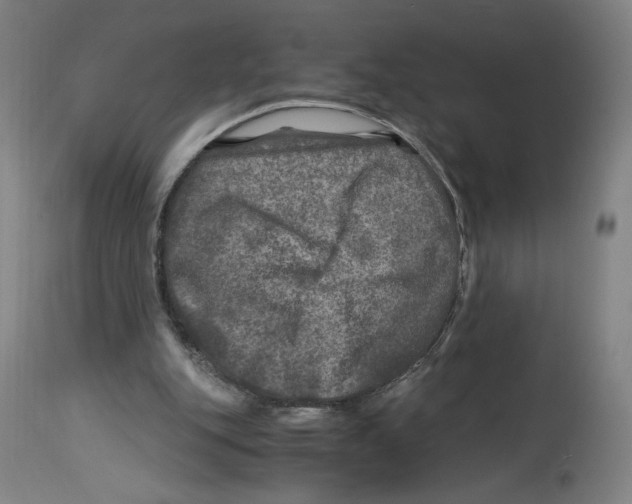 X0000114390151200911131351