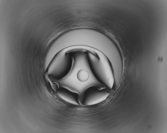 X0000114390154200911131351