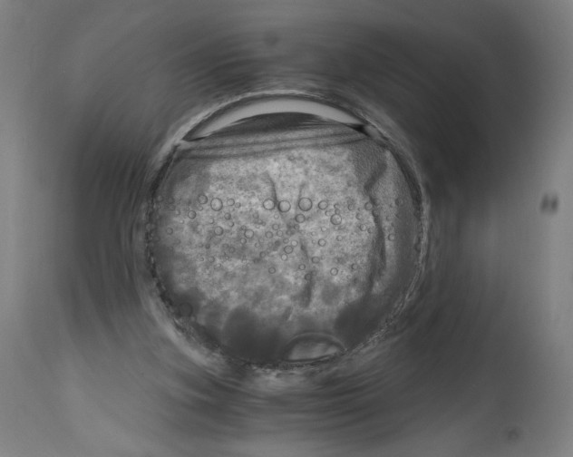 X0000114390155200911131351