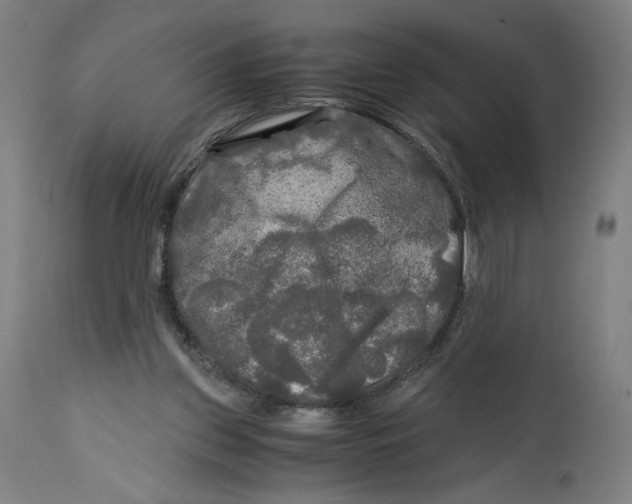 X0000114390157200911131351