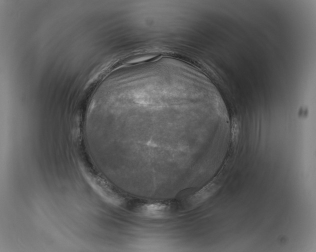 X0000114390158200911131351