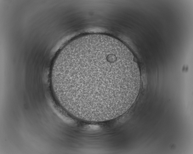 X0000114390159200911131351