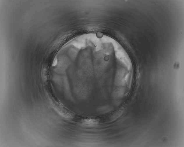 X0000114390161200911131351