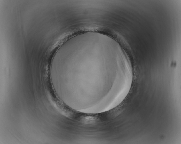 X0000114390163200911131351