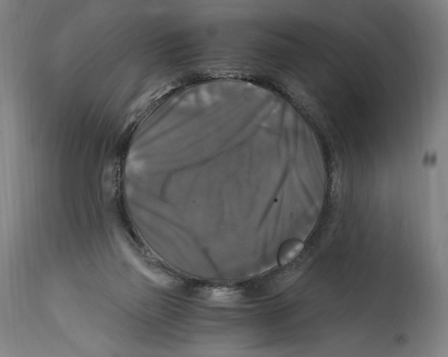 X0000114390165200911131351