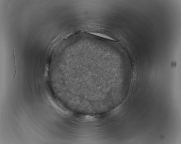 X0000114390166200911131351