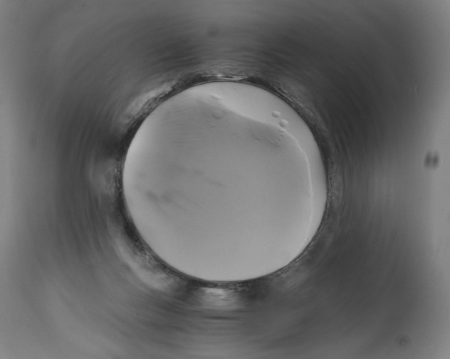 X0000114390167200911131351