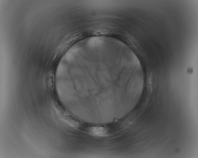 X0000114390169200911131351