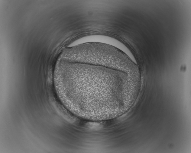 X0000114390170200911131351