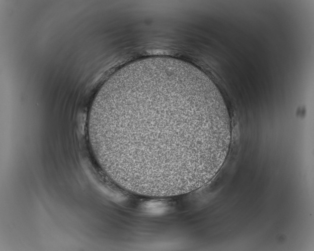 X0000114390171200911131351